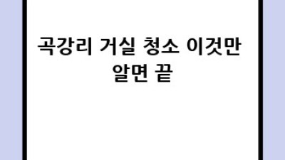 포항 흥해읍 곡강리 거실 청소 완벽 가이드
