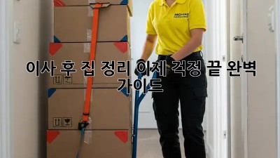 이사 후 집 정리, 이제 걱정 끝! 완벽 가이드