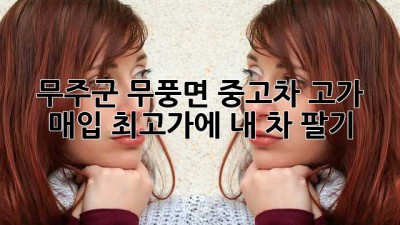 무주군 무풍면 중고차 고가 매입: 최고가에 내 차 팔기